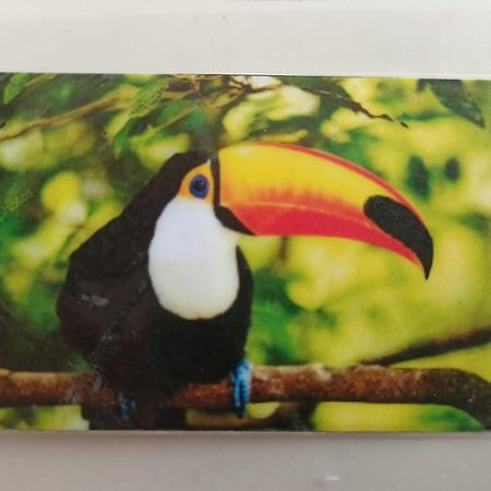 Tucan Playa del Carmen Exteriör bild