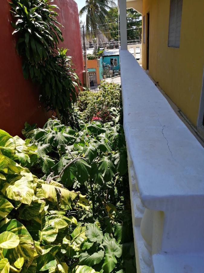 Tucan Playa del Carmen Exteriör bild