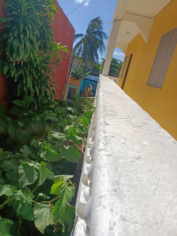 Tucan Playa del Carmen Exteriör bild