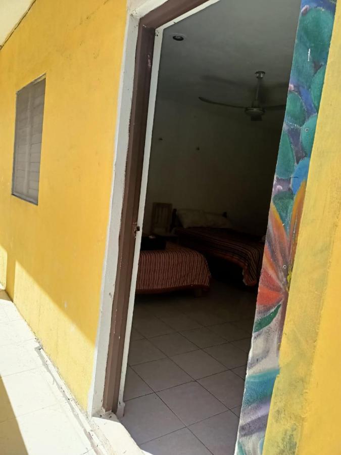 Tucan Playa del Carmen Exteriör bild